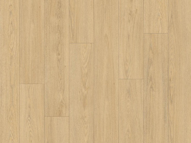 Douwes Dekker PUUR brede plank truffel