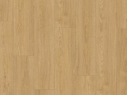 Saffier Boulevard Bolinas Plank