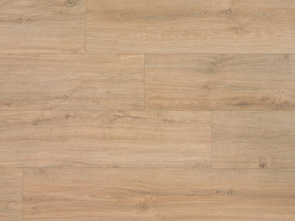 Steden Laminaat - Grave Goudbruin Eiken