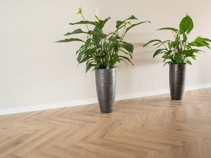 Visgraat Laminaat - Natuur Eiken