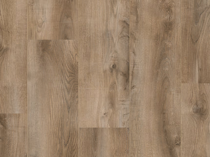 Saffier Estrada Folsom Oak