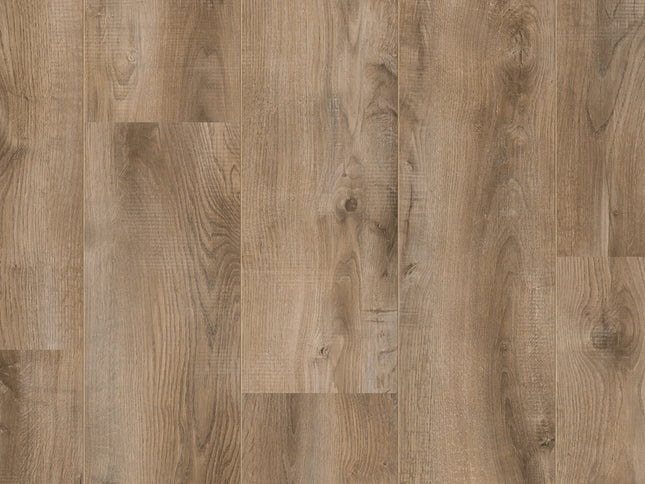 Saffier Estrada Folsom Oak