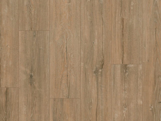 Saffier Estrada Forest Oak