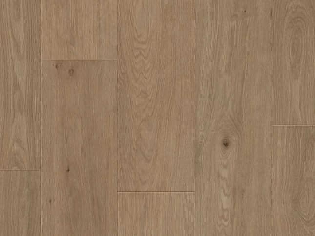 Saffier Estrada Fresno Oak