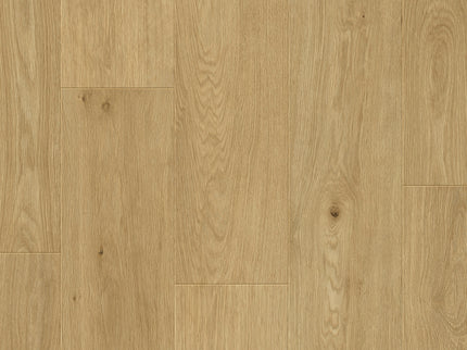 Saffier Estrada Kansas Oak