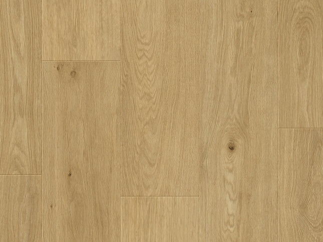 Saffier Estrada Kansas Oak