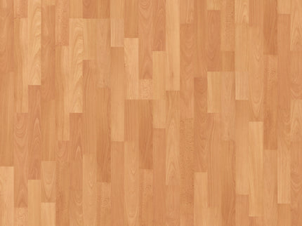 Joka Manhattan oak beech urban mus