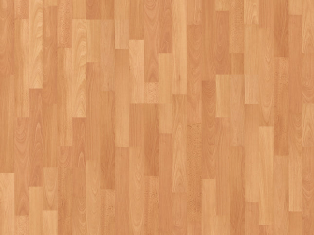 Joka Manhattan oak beech urban mus