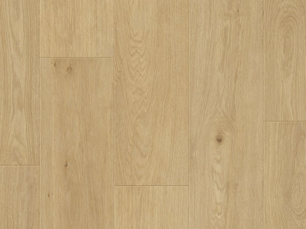 Saffier Estrada Napa Oak