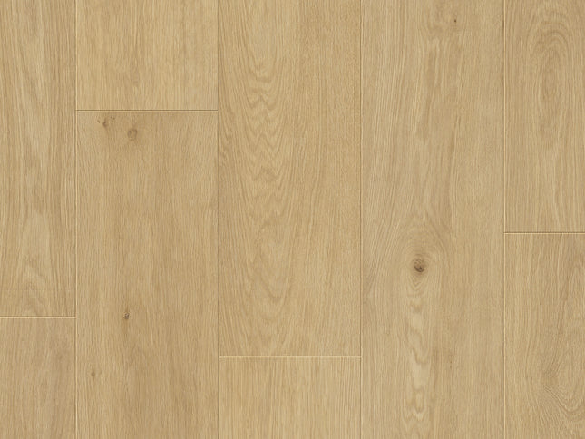 Saffier Estrada Napa Oak